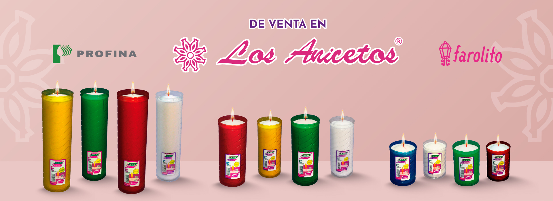 banner-profina