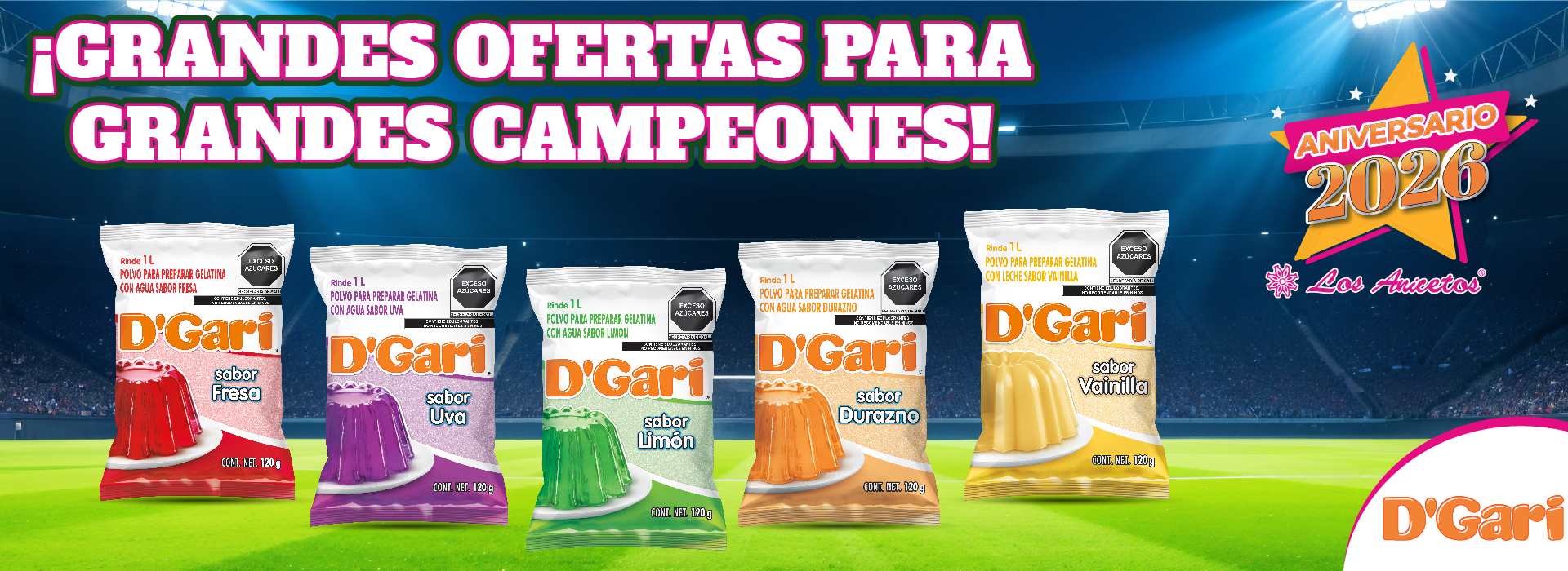 banner-web-dgari