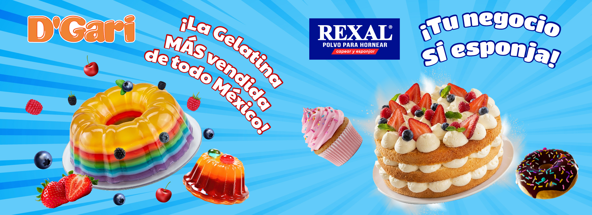 banner-web-dgari.jpg