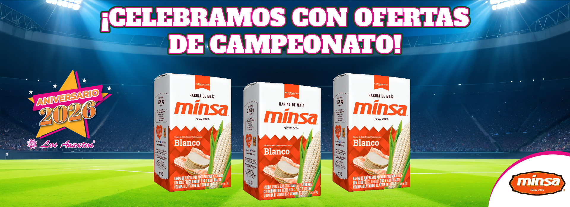 banner-web-minsa